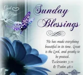 1764674150995.webp