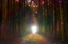 1781330377645.webp