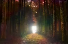 1781366964028.webp