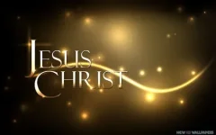 1786876878028.webp