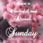 1790467474264.webp