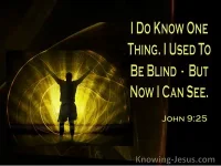 Once I was Blind Now I See_2.webp
