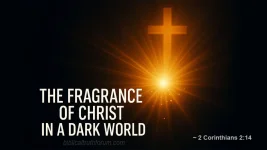 fragrance.webp fragrance.webp